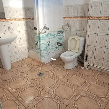 Leoneg Daire Navodari